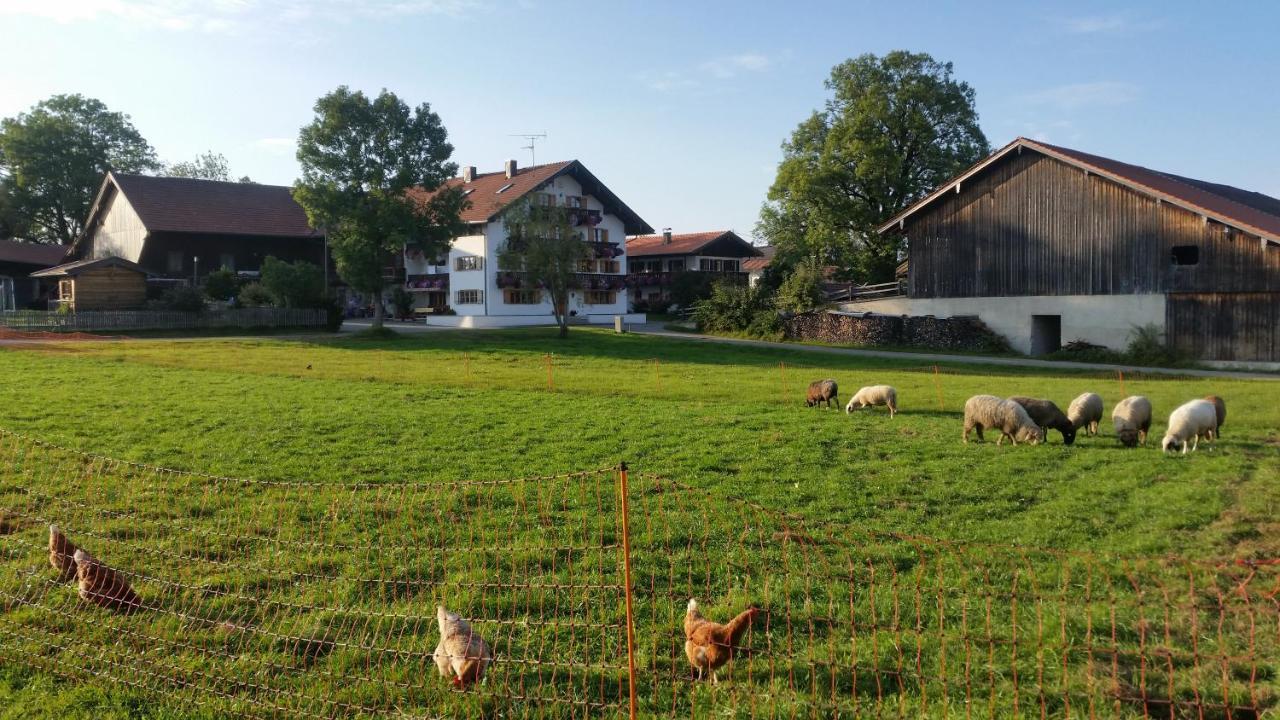 Woidhauserhof Waakirchen Kültér fotó